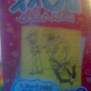 dork diaries